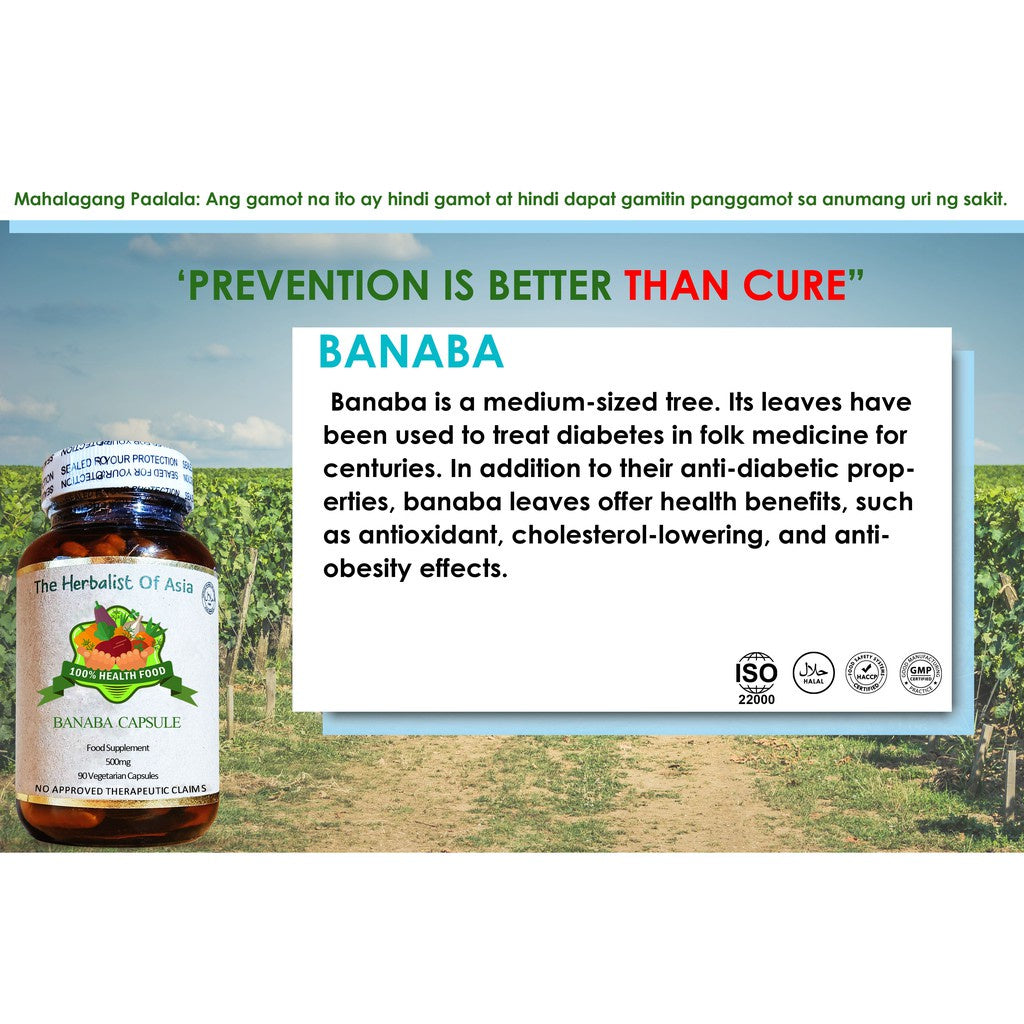 Organic Banaba 500mg 90 Vegetarian Capsules. | The Herbalist Of Asia
