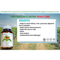 Thumbnail for Organic Lemon Grass (Tanglad) 500mg 90 Vegetarian Capsules | The Herbalist Of Asia