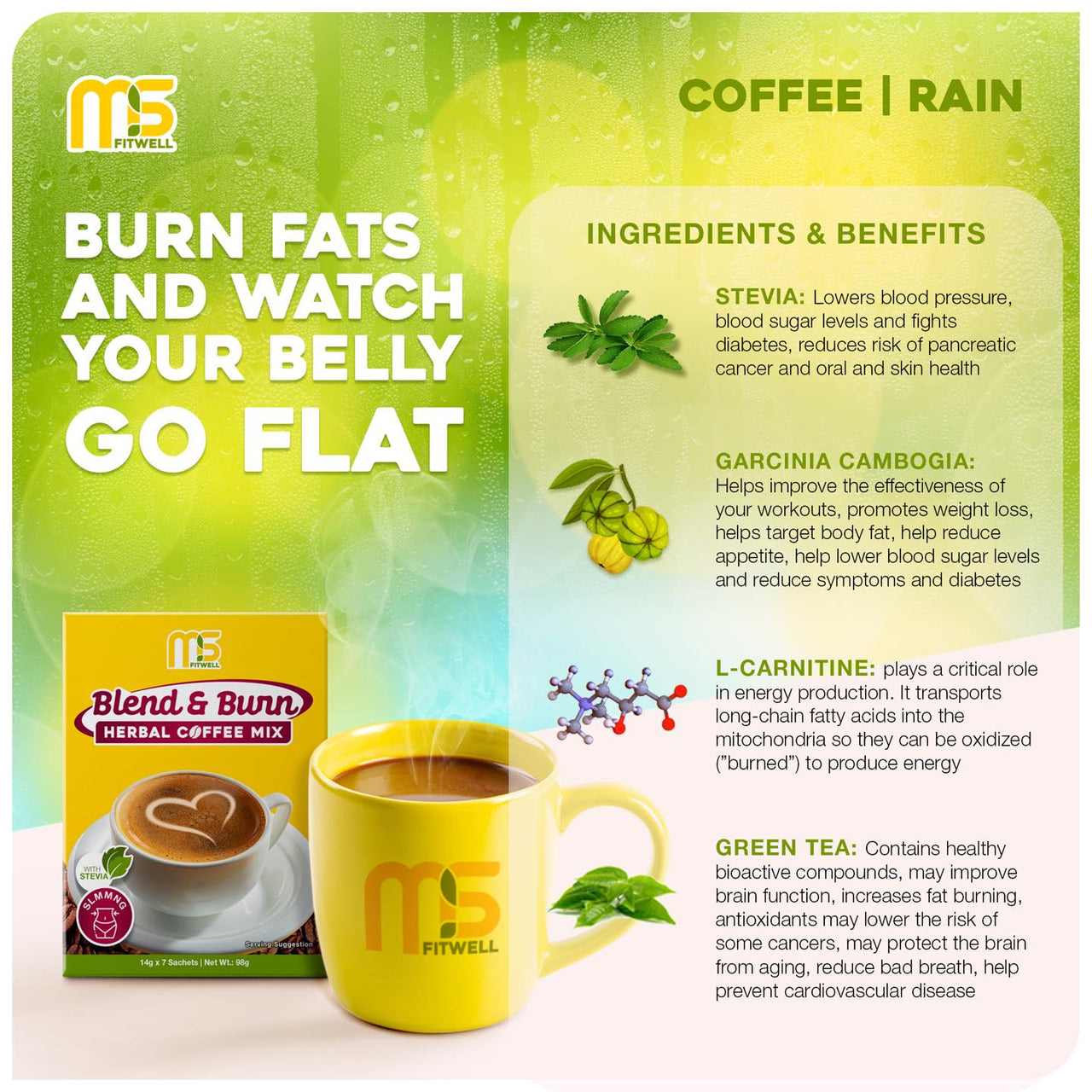 MS Fitwell Blend & Burn Herbal Slimming Coffee Mix