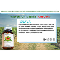 Thumbnail for Organic Guava 500mg 90 Vegetarian Capsules | The Herbalist Of Asia