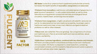 Thumbnail for Fulgent M3 Factor | Antioxidant, Anti-inflammatory, Immune Booster (30 Capsules)