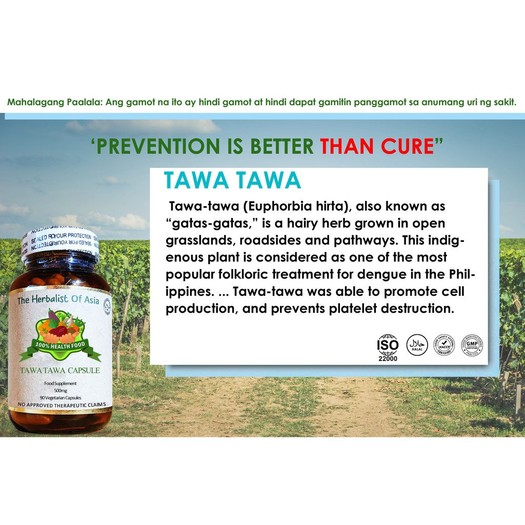 Organic Tawa-Tawa 500mg 90 Vegetarian   Capsules | The Herbalist Of Asia