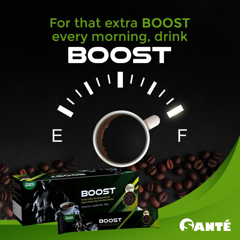 Sante Boost Coffee (15 gms x 10 sachets)