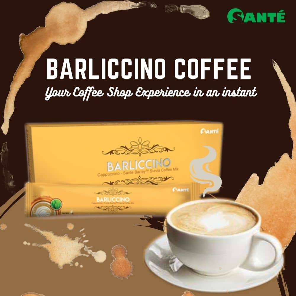 Sante Barliccino Coffee (12 gms x 10 sachets)