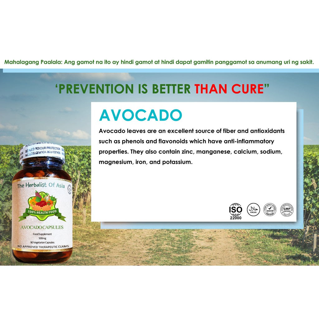 Organic Avocado 500mg 90 Vegetarian Capsules | The Herbalist Of Asia