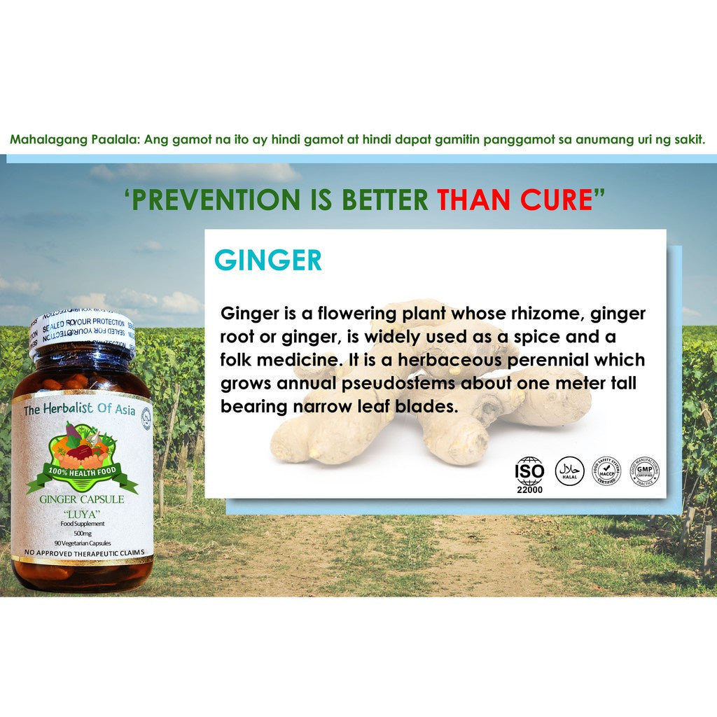 Organic Ginger 500mg 90 Vegetarian Capsules | The Herbalist Of Asia