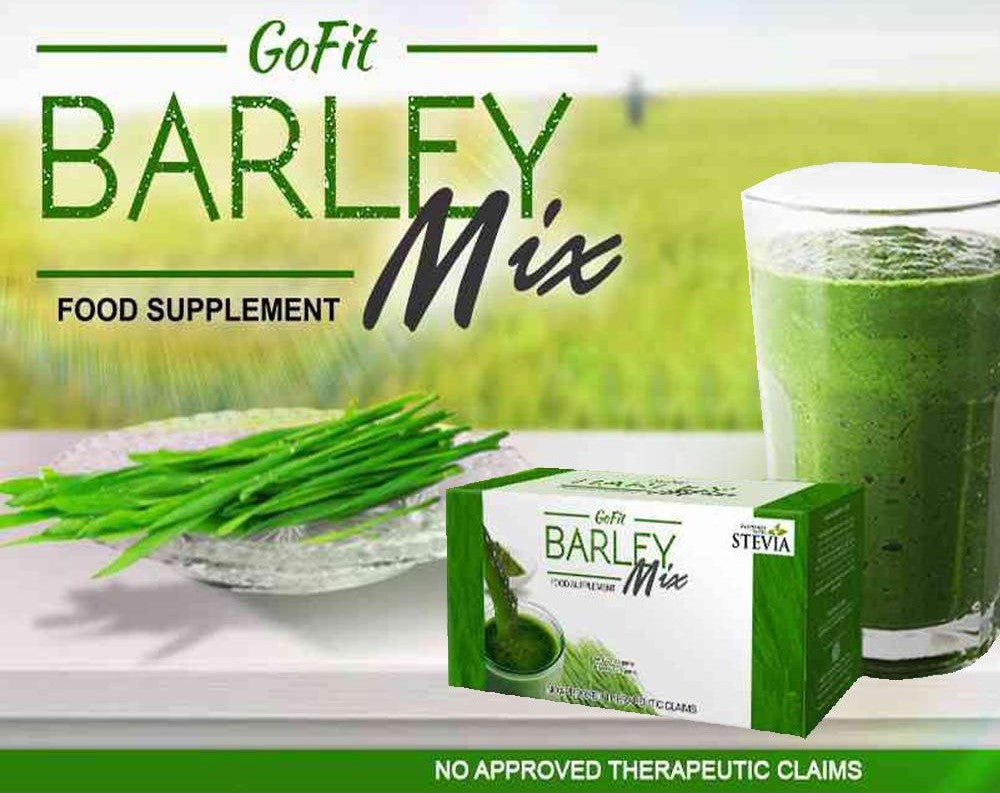 [3+1 Promo] Go Fit Barley Mix Juice 15 Sachet/Box (Guaranteed Original)