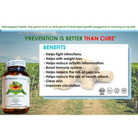 Thumbnail for Organic Ginger 500mg 90 Vegetarian Capsules | The Herbalist Of Asia