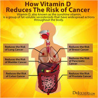 Thumbnail for Fern-D Vitamin D (Cholecalciferol) 1000I.U (60/120 softgels) Food Supplement
