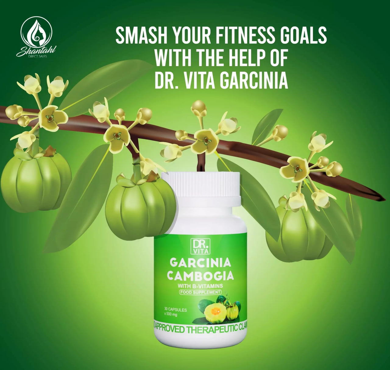 [Buy 1 Take 1] Dr. Vita Garcinia Cambogia - Burns Fats Faster! (30 capsules)
