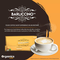 Thumbnail for Sante Barliccino Coffee (12 gms x 10 sachets)