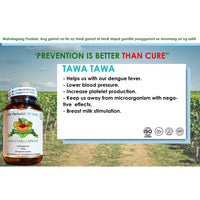 Thumbnail for Organic Tawa-Tawa 500mg 90 Vegetarian   Capsules | The Herbalist Of Asia
