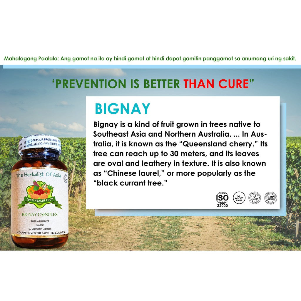 Organic Bignay 500mg 90 Vegetarian Capsules | The Herbalist Of Asia