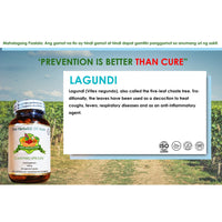 Thumbnail for Organic Lagundi 500mg 90 Vegetarian Capsules | The Herbalist Of Asia