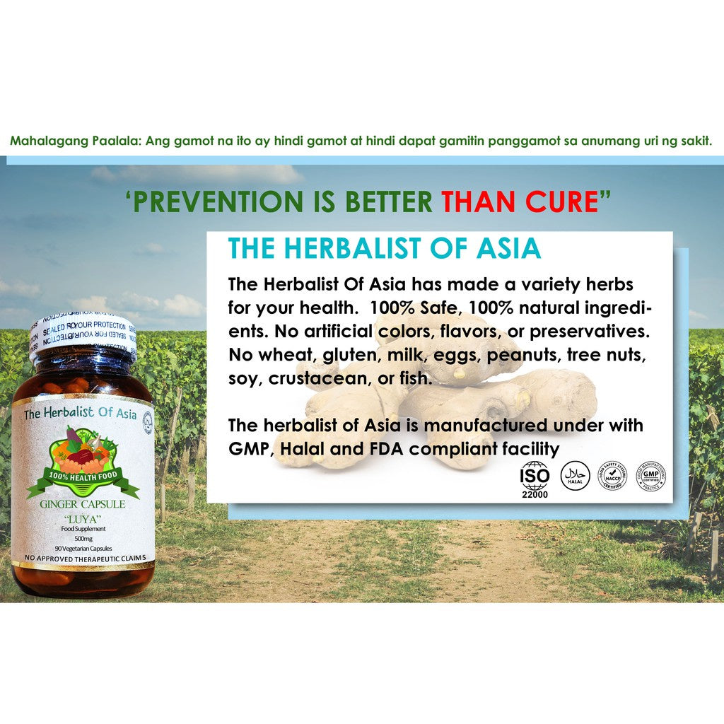 Organic Ginger 500mg 90 Vegetarian Capsules | The Herbalist Of Asia