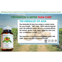 Thumbnail for Organic Ginger 500mg 90 Vegetarian Capsules | The Herbalist Of Asia