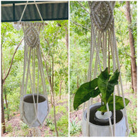 Thumbnail for Handmade Macrame 100% Cotton Plant Hanger Boho Chic Style Cream Cotton